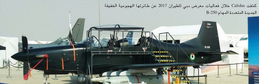 Calidus تطلق طائرتها الهجومية الخفيفة الجديدة المتعددة النهام B-250 صنع الإمارات