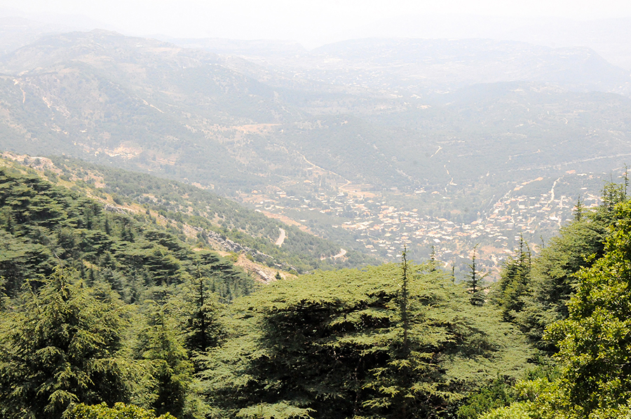 محمية أرز الشوف الموقع الرسمي للجيش اللبناني