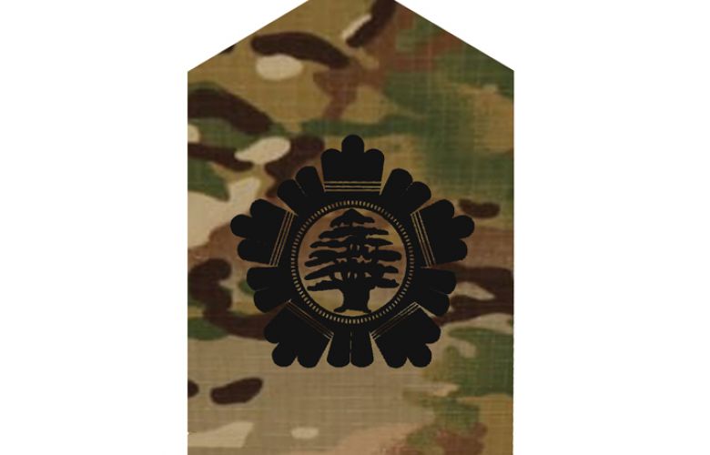 Ranks Official site of the Lebanese Army